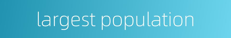 largest population的同义词
