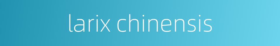 larix chinensis的同义词