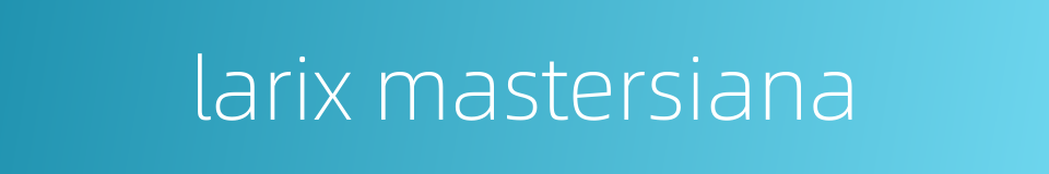 larix mastersiana的同义词