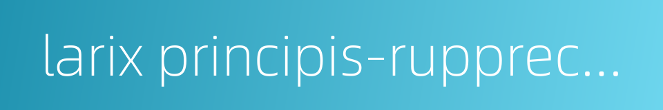 larix principis-rupprechtii的同义词