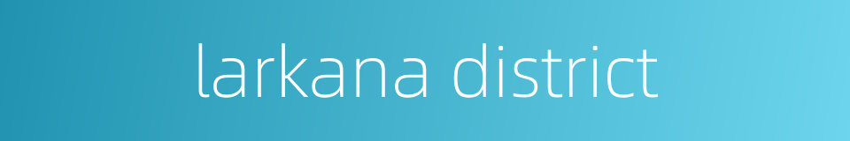 larkana district的同义词