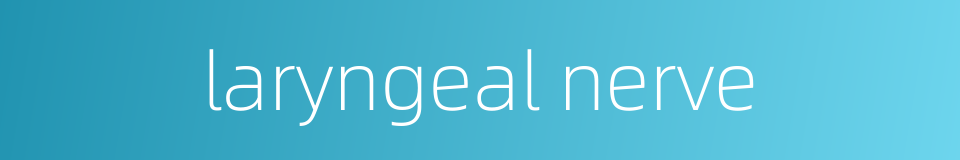 laryngeal nerve的同义词