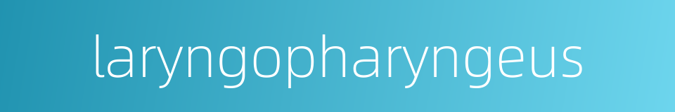 laryngopharyngeus的同义词