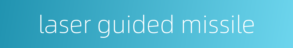 laser guided missile的同义词
