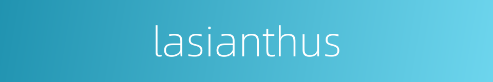 lasianthus的同义词