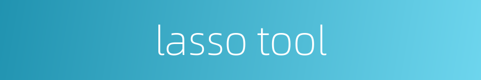 lasso tool的同义词
