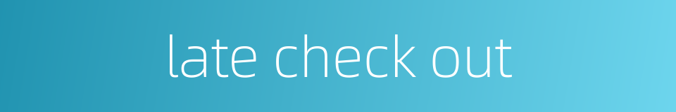 late check out的同义词