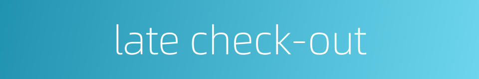 late check-out的同义词