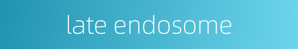 late endosome的同义词