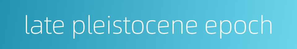 late pleistocene epoch的同义词