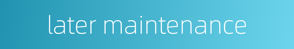 later maintenance的同义词