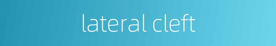lateral cleft的同义词