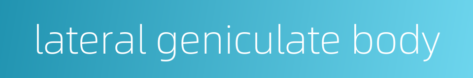 lateral geniculate body的同义词