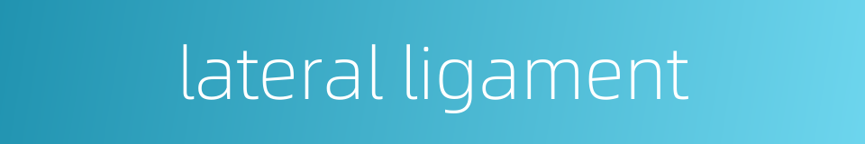 lateral ligament的同义词