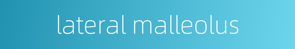 lateral malleolus的同义词