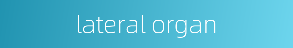 lateral organ的同义词
