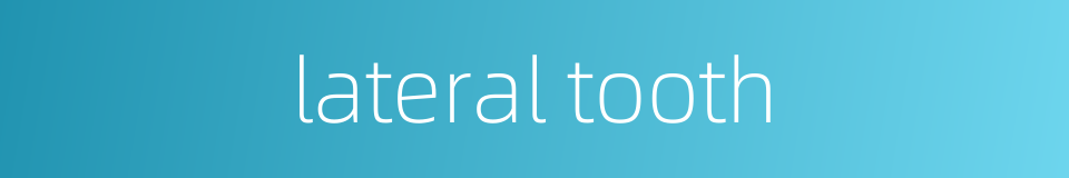 lateral tooth的同义词