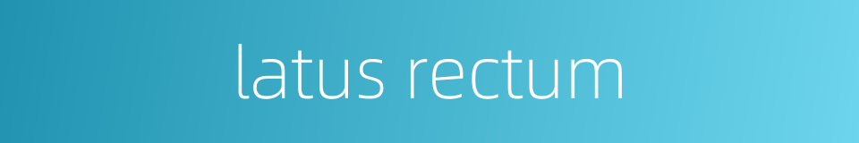 latus rectum的同义词