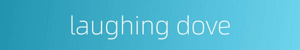 laughing dove的同义词