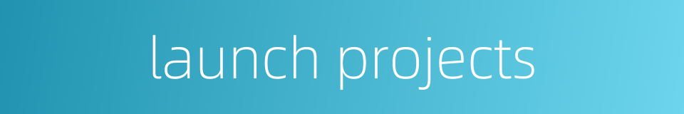 launch projects的同义词