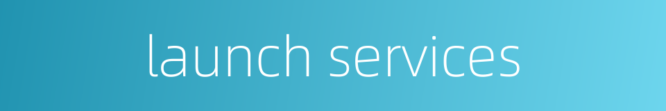 launch services的同义词