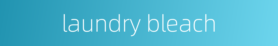 laundry bleach的同义词