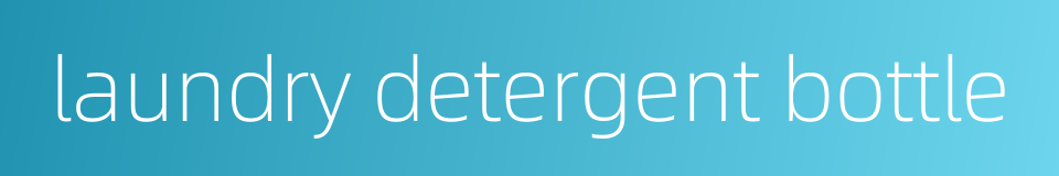 laundry detergent bottle的同义词