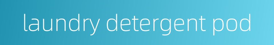 laundry detergent pod的同义词