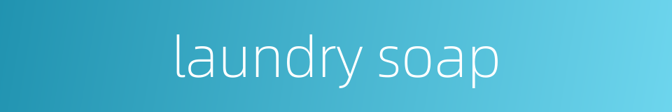 laundry soap的同义词