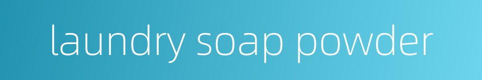 laundry soap powder的同义词