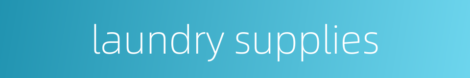 laundry supplies的同义词
