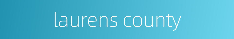 laurens county的同义词