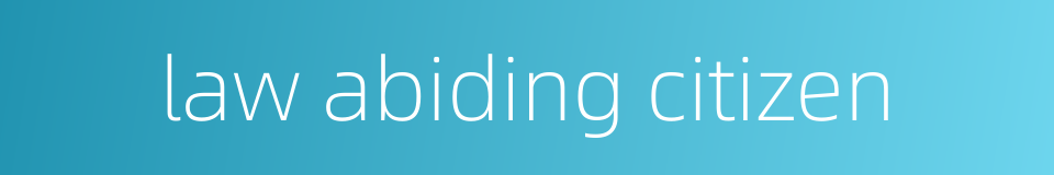 law abiding citizen的同义词
