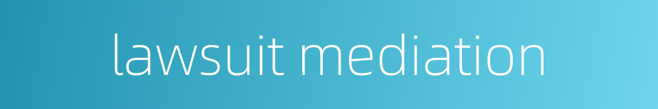 lawsuit mediation的同义词