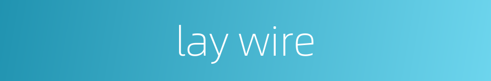 lay wire的同义词