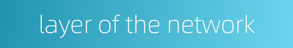 layer of the network的同义词