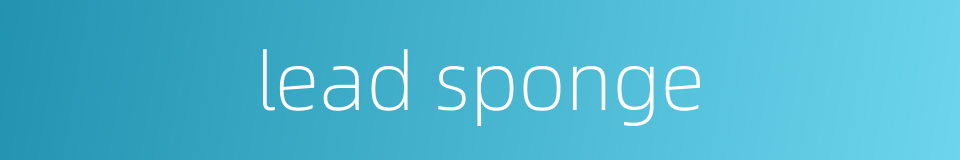lead sponge的同义词