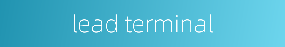 lead terminal的同义词