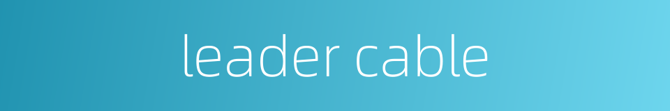 leader cable的同义词