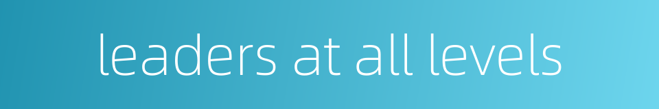 leaders at all levels的同义词