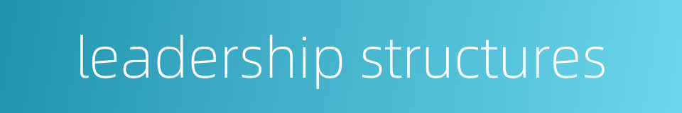 leadership structures的同义词