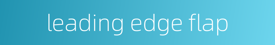 leading edge flap的同义词