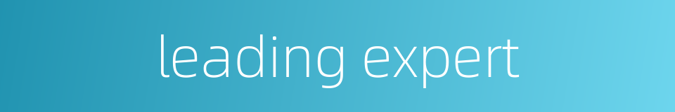 leading expert的同义词