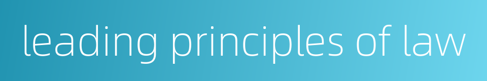 leading principles of law的同义词