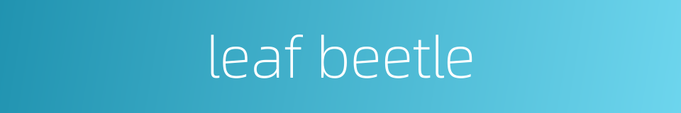 leaf beetle的同义词