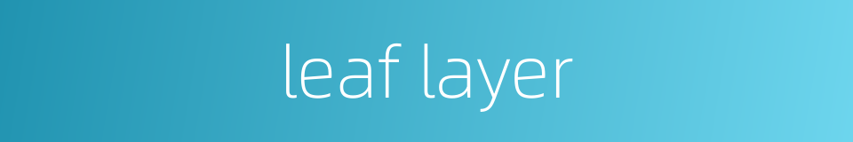 leaf layer的同义词