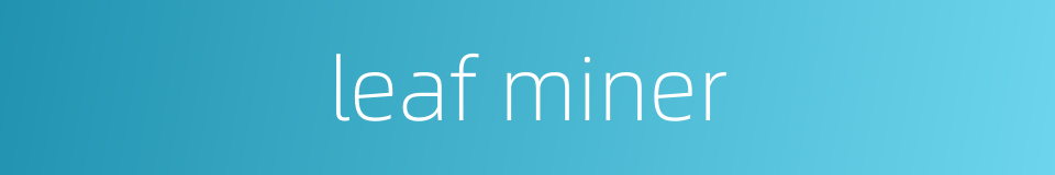 leaf miner的同义词