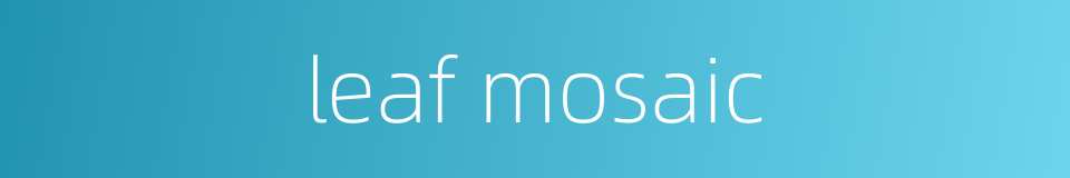 leaf mosaic的同义词