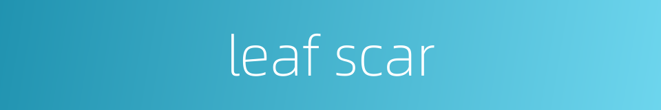 leaf scar的同义词