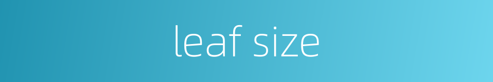 leaf size的同义词